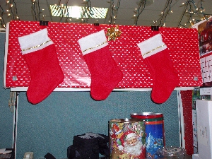 Cubicle stockings
